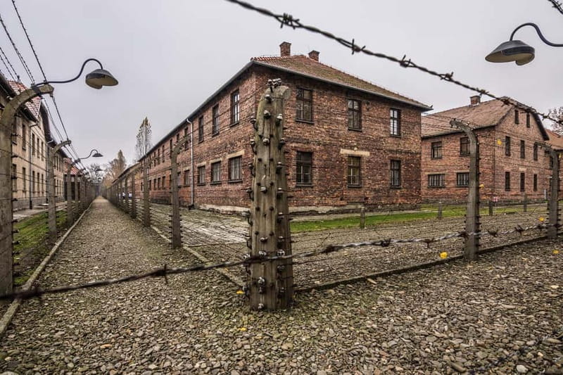 From Krakow: Auschwitz-Birkenau Guided Tour & Transportation - The schedule reality: 7-10 hours and a pickup that can start very early