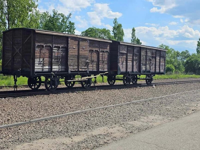 From Krakow: Auschwitz-Birkenau Guided Tour with Pickup - Van Ride to Oświęcim: Use the Time, Not the Phone