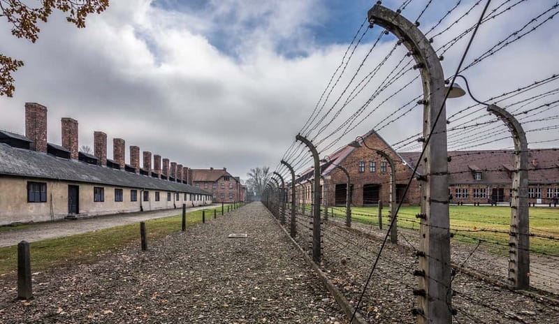 From Krakow: Auschwitz-Birkenau Guided Tour with Transport - How the guided format keeps you from getting lost or rushed
