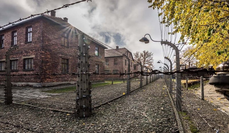 From Krakow: Auschwitz-Birkenau Guided Tour with Transport - Tips to make the day easier, especially if it’s long or cold