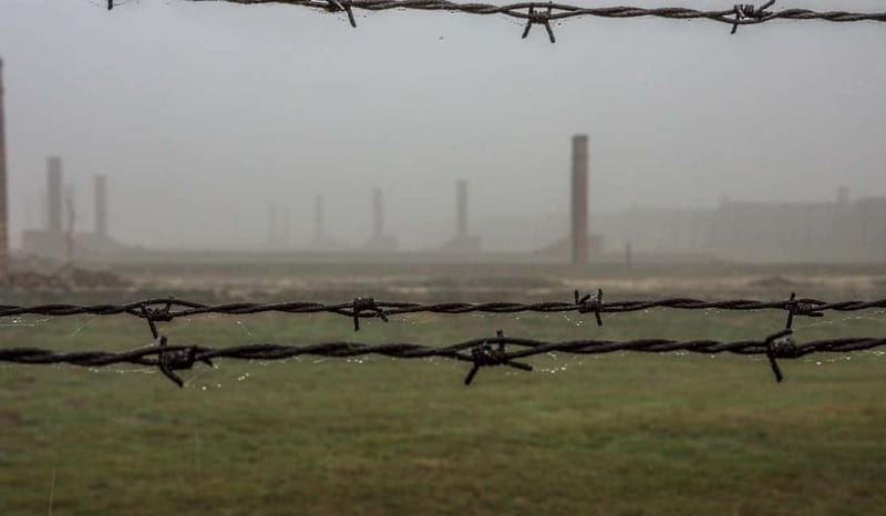 From Krakow: Auschwitz-Birkenau Guided Tour with Transport - Who this tour fits best