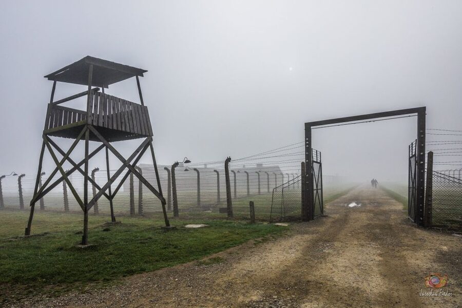 From Krakow: Auschwitz-Birkenau Live Guided Tour & Pickup - Price and value: why $21 can be a good deal here