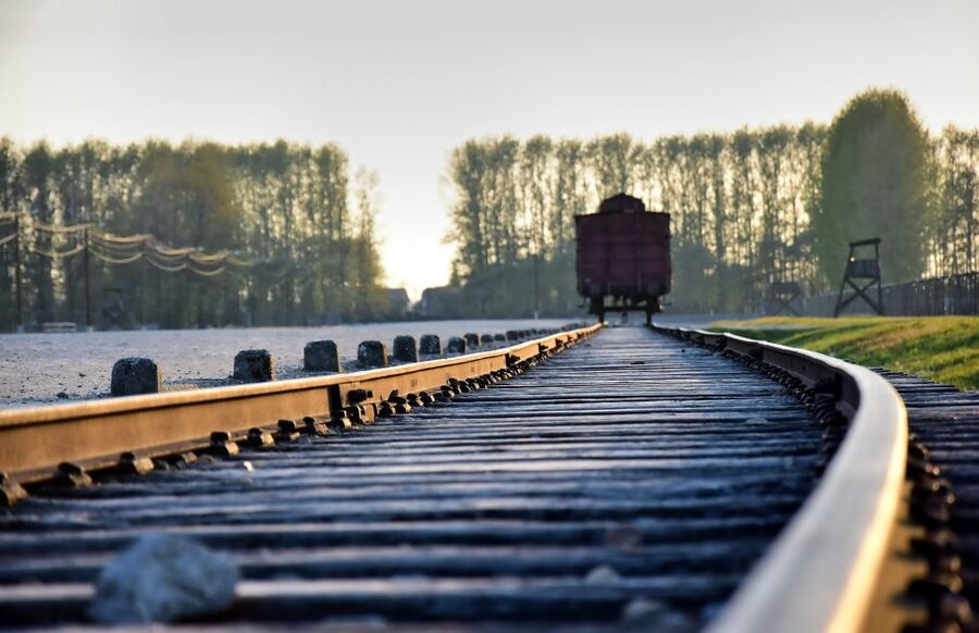 From Krakow: Auschwitz-Birkenau Live Guided Tour & Pickup - Skip-the-line entry and what actually happens when you arrive