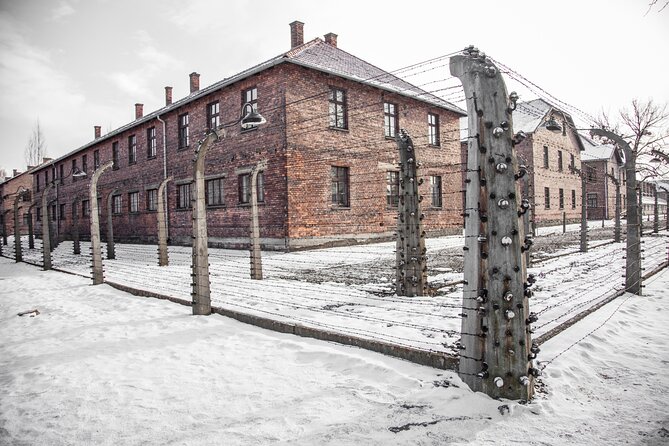 From Krakow: Auschwitz-Birkenau Memorial and Museum Guided Tour - English language, small groups, and why timing affects which sessions you get