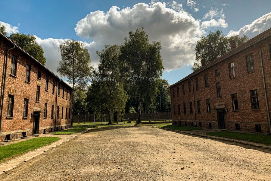 From Krakow: Auschwitz-Birkenau Memorial and Museum Tour - Key moments worth knowing before you go