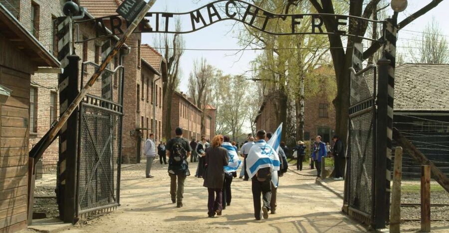 From Krakow: Auschwitz-Birkenau Memorial and Museum Tour - Transportation comfort and onboard practicalities