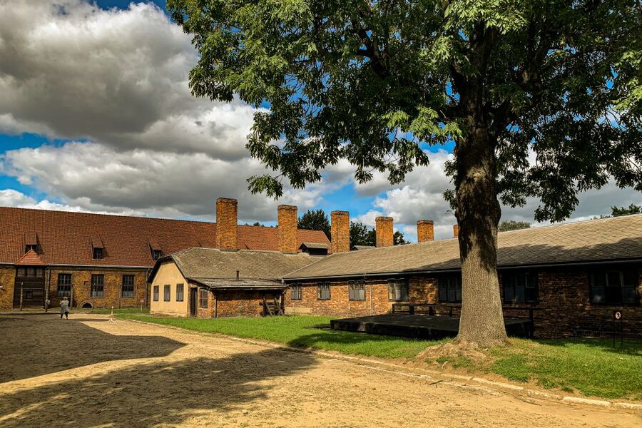From Krakow: Auschwitz-Birkenau Memorial and Museum Tour - Auschwitz I: dormitories, exhibitions, and the camp system