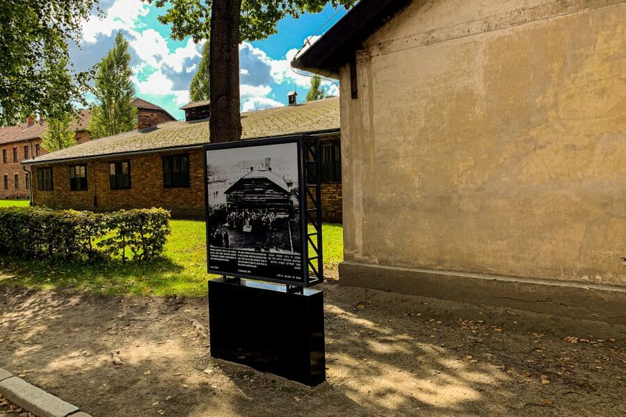 From Krakow: Auschwitz-Birkenau Memorial and Museum Tour - Memorial work: tracing individual prisoner stories