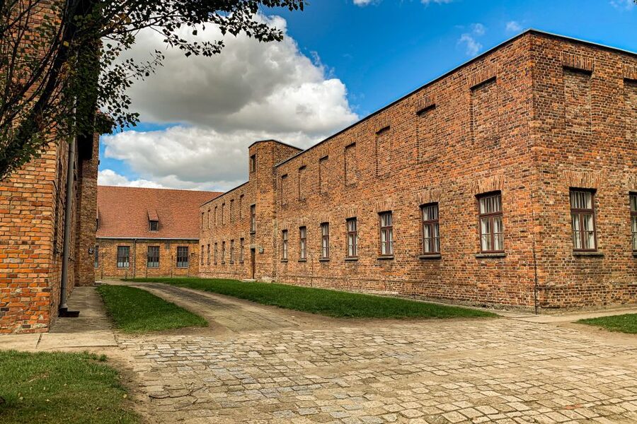 From Krakow: Auschwitz-Birkenau Memorial and Museum Tour - What the best guides do (and how it helps you)