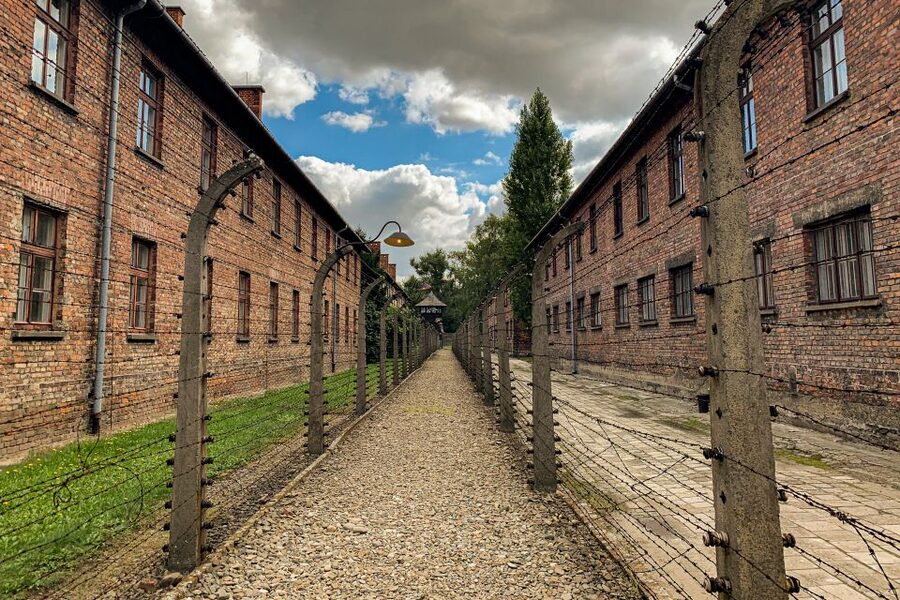 From Krakow: Auschwitz-Birkenau Memorial and Museum Tour - Skip-the-line entry: what it really helps with
