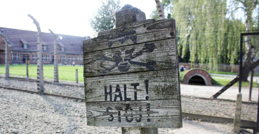 From Kraków: Auschwitz-Birkenau Memorial Guided Tour - Key things to know before you go