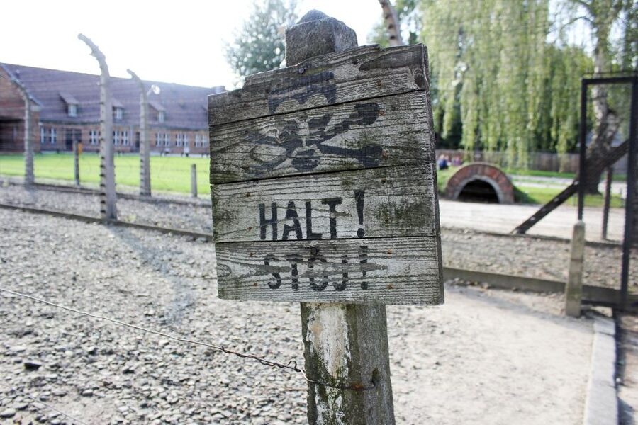 From Kraków: Auschwitz-Birkenau Memorial Guided Tour - What You See at Auschwitz-Birkenau, and Why the Guided Format Helps