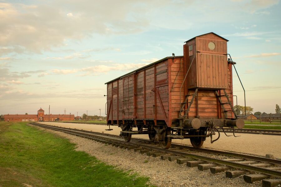 From Kraków: Auschwitz-Birkenau Memorial Guided Tour - Pickup Windows and Last-Minute Timing Swaps