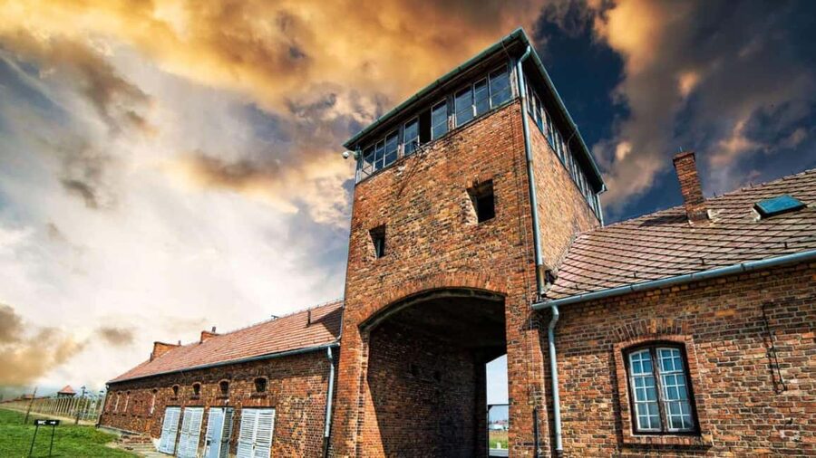 From Krakow: Auschwitz-Birkenau Memorial Private Tour - Who this Auschwitz-Birkenau private day trip suits best