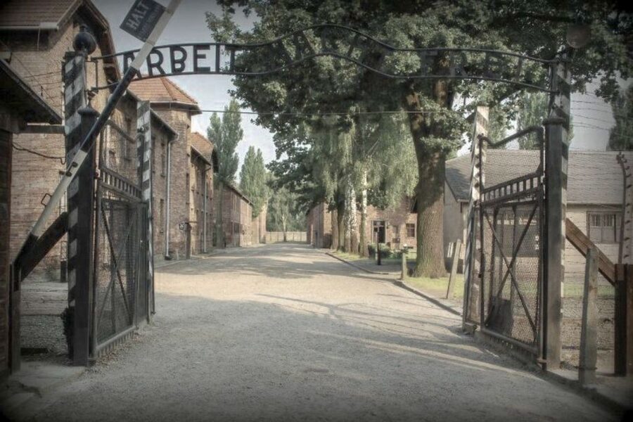 From Krakow: Auschwitz-Birkenau Private or Shared Tour - Auschwitz II-Birkenau: Why the One-Hour Visit Feels Like a Lot