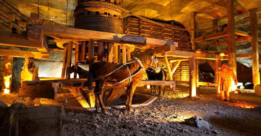 From Krakow: Auschwitz-Birkenau & Salt Mines with Lunch - Getting From Krakow To Auschwitz: What Makes the First Leg Work