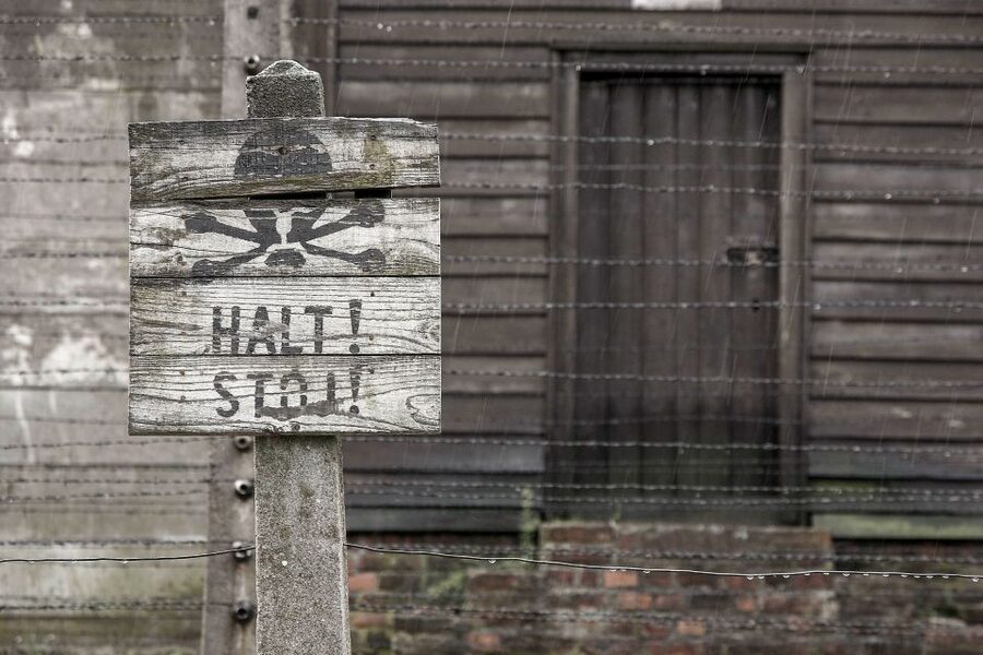 From Krakow: Auschwitz-Birkenau & Schindler's Factory Tour - Key moments to know before you go