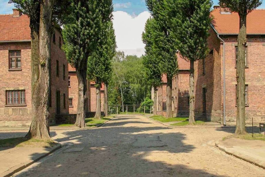 From Krakow: Auschwitz-Birkenau & Schindler's Factory Tour - Price and what $58 really buys on this day trip
