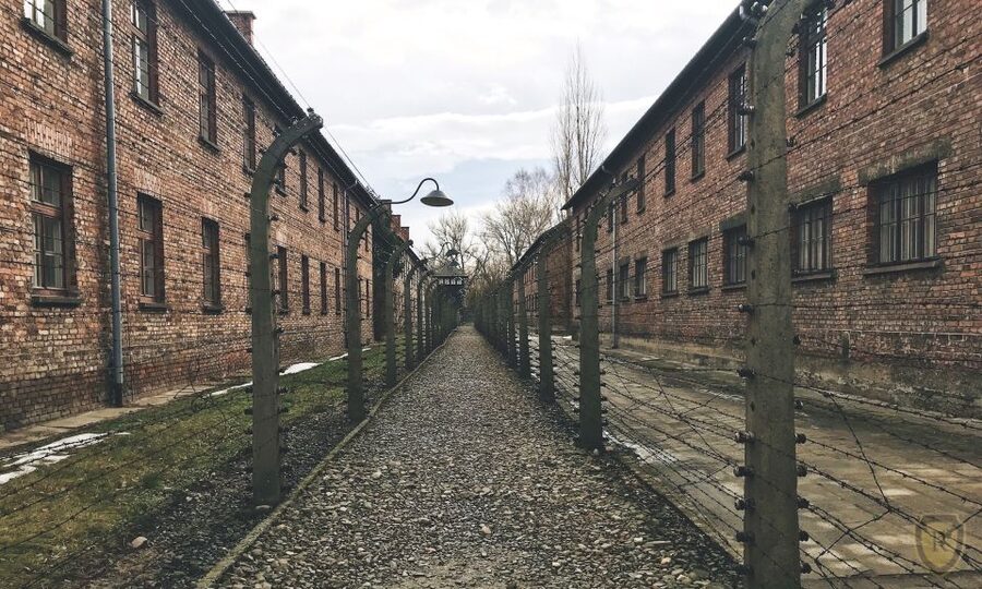 From Krakow: Auschwitz Birkenau Self-Guided Tour - Getting out of Krakow: pickup, shared bus, and real timing
