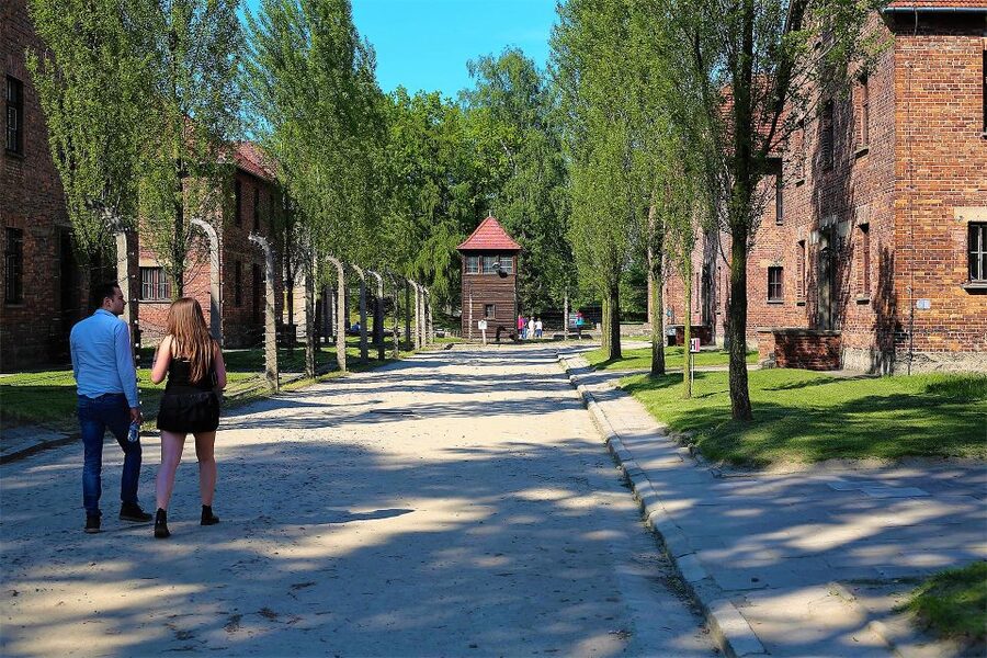 From Krakow: Auschwitz Birkenau Small Group Tour with Pickup - Krakow Pickup and the Van Ride You Actually Need