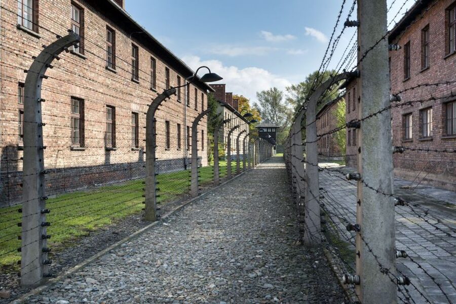 From Krakow: Auschwitz-Birkenau Tour - Key Points You’ll Care About