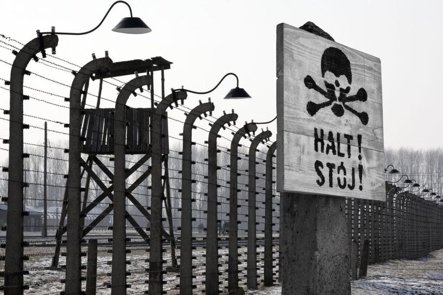 From Krakow: Auschwitz-Birkenau Tour - Pacing, Breaks, and the Small Comforts You Still Get
