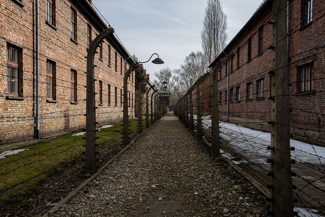From Kraków: Auschwitz-Birkenau Tour with Lunch Box and Pick Up - Price and Value: What $94.93 Covers and Why It Can Be Worth It