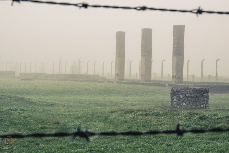 From Krakow: Auschwitz-Birkenau Tour with Transfer - Should you book this Auschwitz-Birkenau tour?