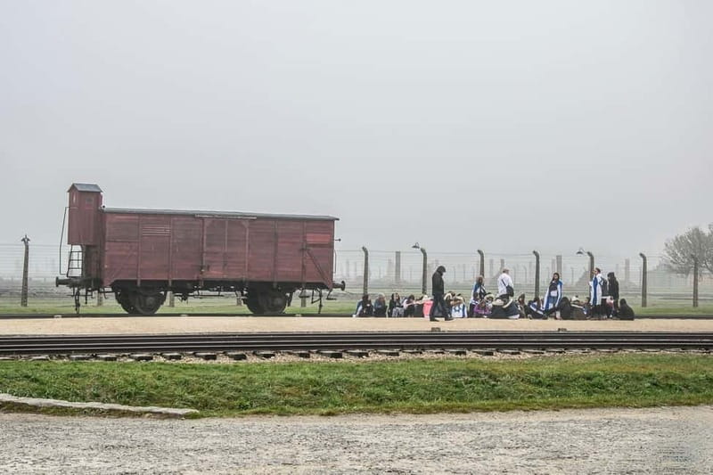 From Krakow: Auschwitz-Birkenau Tour with Transfer - Tickets, waiting lines, and why your schedule might drift