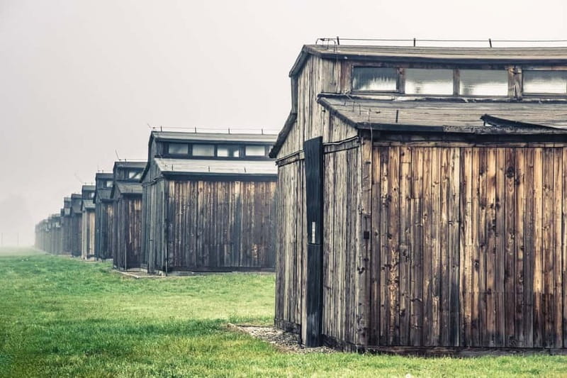 From Krakow: Auschwitz-Birkenau Tour with Transfer - What to bring, what not to bring, and how to avoid common problems