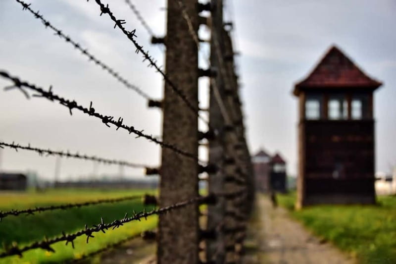 From Krakow: Auschwitz-Birkenau Tour with Transfer - Language, accessibility, and who this tour fits best