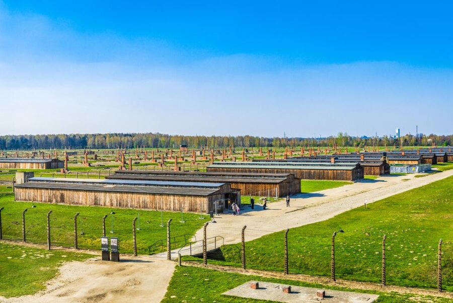 From Krakow: Auschwitz-Birkenau Tour with Transportation - Value check: is a $38 day trip a good deal?
