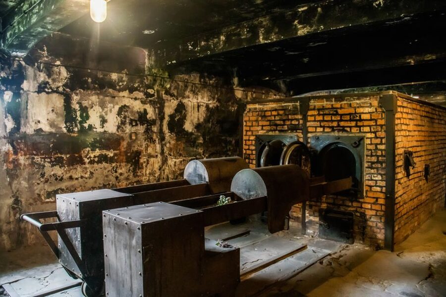 From Krakow: Auschwitz-Birkenau Tour with Transportation - Food, photos, ID checks, and dress rules you cannot ignore