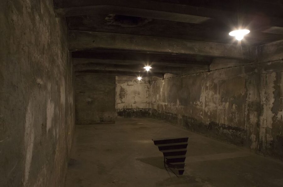 From Krakow: Auschwitz-Birkenau Tour - Getting There and Meeting Up Without Stress