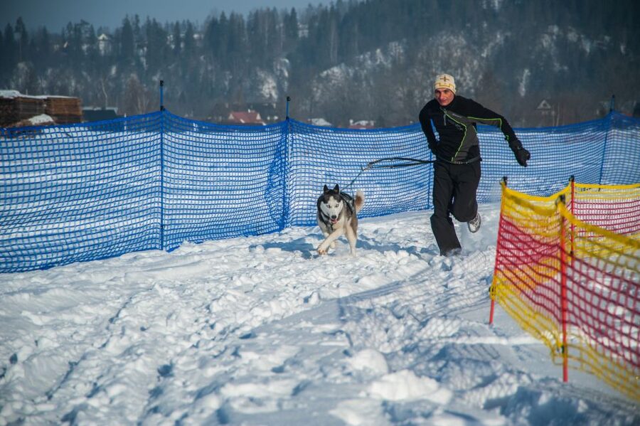 From Krakow: Dogsled Ride in Tatra Mountain - Husky reserve: meet the dogs, follow the rules, and keep your hands to yourself