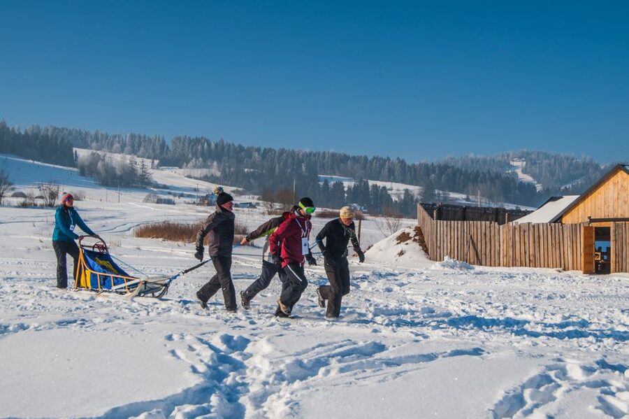 From Krakow: Dogsled Ride in Tatra Mountain - The drive setup: 2 people per sled, driver standing, you seated