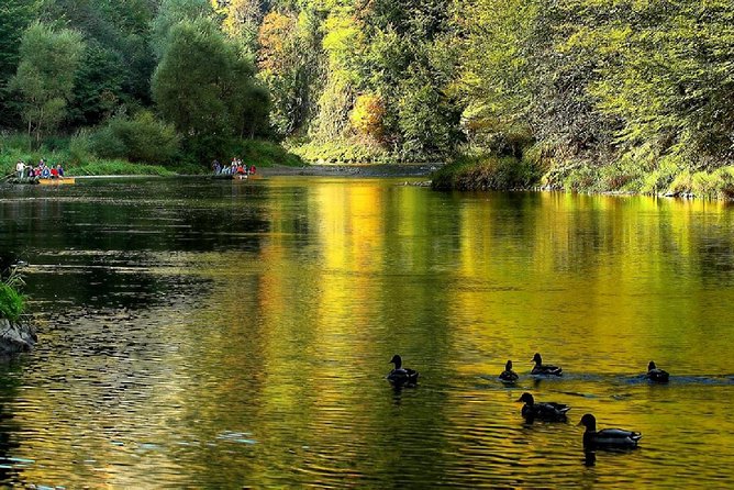From Krakow: Dunajec River Rafting in Pieniny Mountains - The day plan: pickup, river time, and back to Krakow