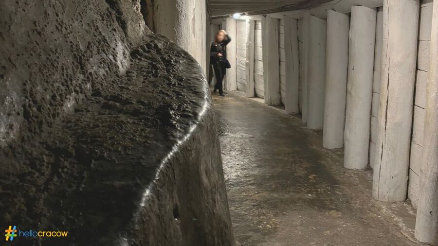 From Krakow: Guided Tour in Wieliczka Salt Mine - Chambers, Lakes, And Open Space You Did Not Expect