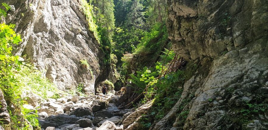 From Krakow: Hiking in the Tatra Mountains and Thermal baths - Who should book this, and who should skip it