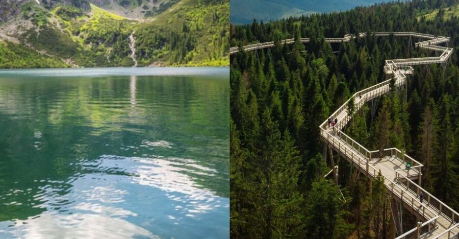 From Krakow: Morskie Oko and Slovakia Treetop Walk - The Slovak treetop walk near Bachledova Valley: wooden bridge magic