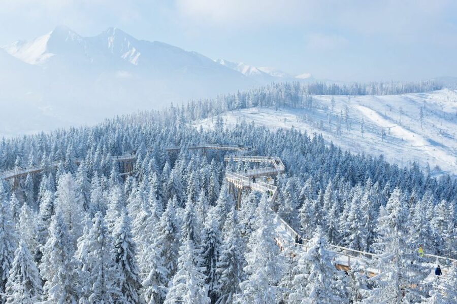 From Krakow: Morskie Oko and Slovakia Treetop Walk - Who this day trip suits best, and who should skip it