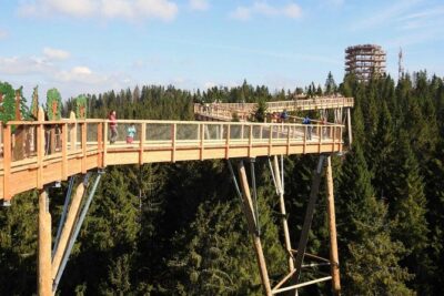 Slovakia Treetop Walk and Bachledka Ski