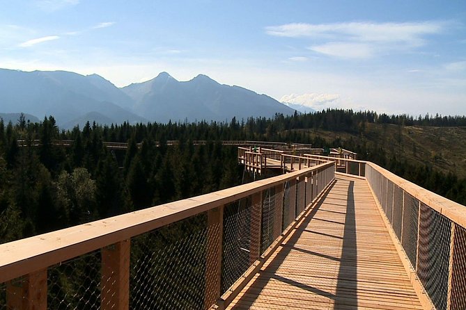 From Kraków: Slovakia Treetop Walk Bachledka and Zakopane - What you really see from 32 metres up, and why the plaques matter