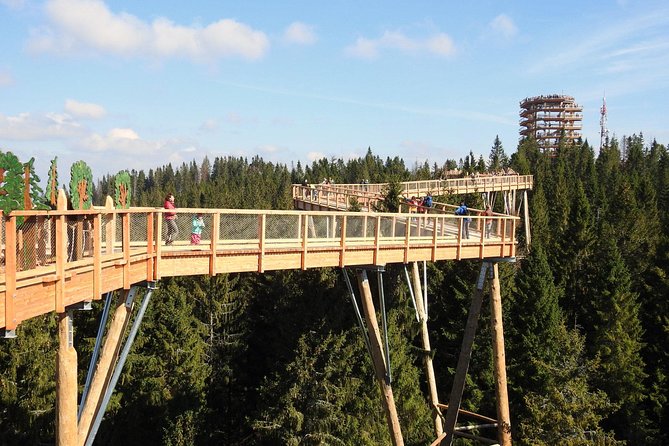 From Kraków: Slovakia Treetop Walk Bachledka and Zakopane - Entering Treetop Walk Bachledka near Ždiar, Slovakia
