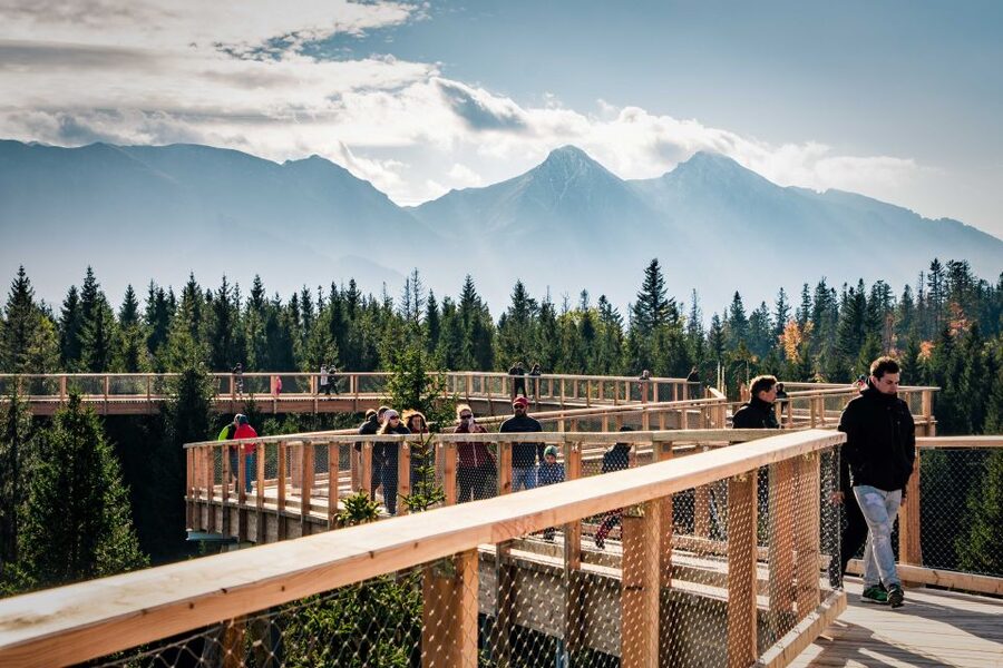 From Krakow: Slovakia Treetop Walk, Zakopane & Thermal Spa - Bachledka Treetop Walk: 24 meters up in Pieniny forests