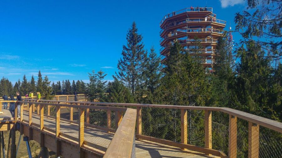 From Krakow: Slovakia Treetop Walk, Zakopane & Thermal Spa - Zakopane on Krupowki: a winter-capital street with real variety