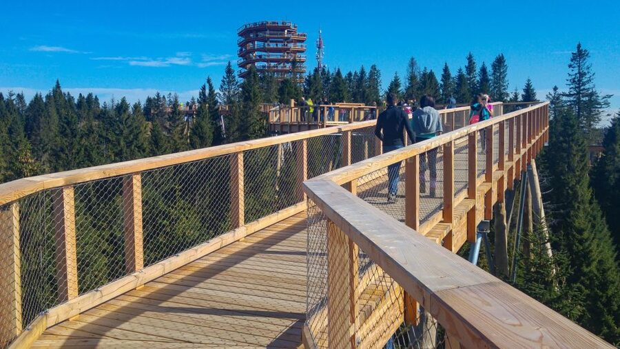 From Krakow: Slovakia Treetop Walk, Zakopane & Thermal Spa - FAQ