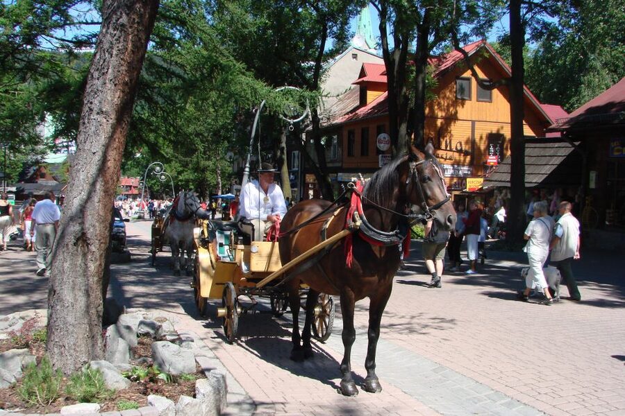 From Krakow: Slovakia Treetop Walk, Zakopane & Thermal Spa - Pieniny National Park and the Belianske Tatras context
