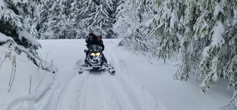 From Krakow: Snowmobile, Zakopane & Chochołowskie Baths - Snowmobiles in the Tatra Mountains, What You’ll Really Experience