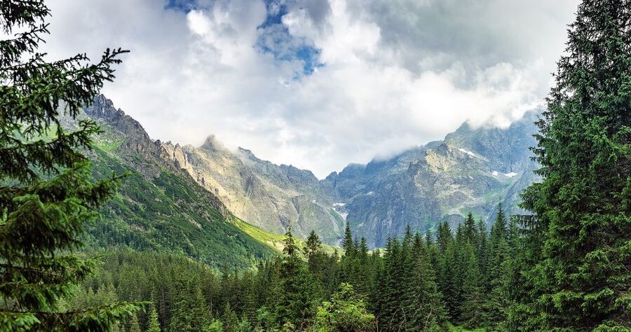From Krakow: Tatra Mountains and Morskie Oko Hike - Should you book this Krakow to Morskie Oko hike?